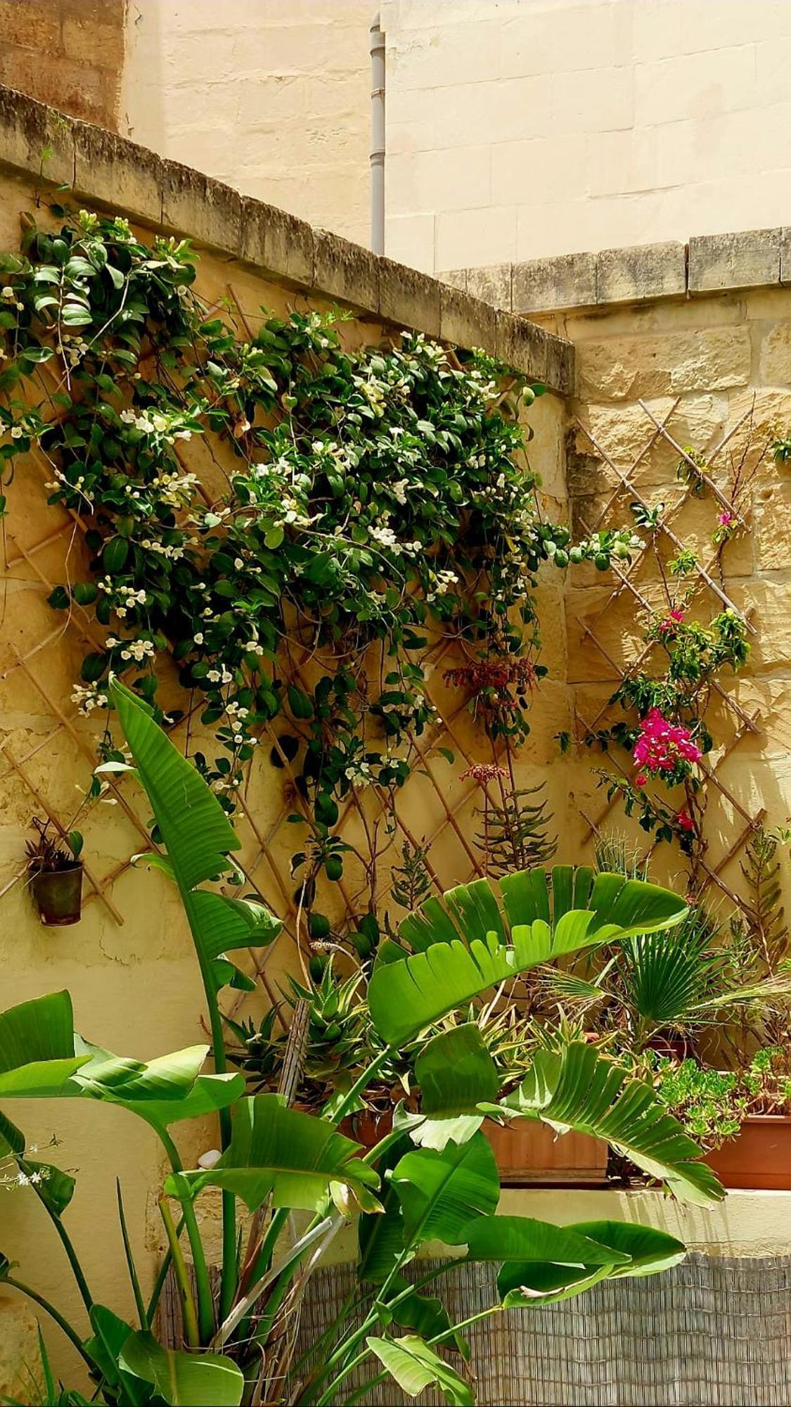 Ta' Didi B&B Kerċem 外观 照片