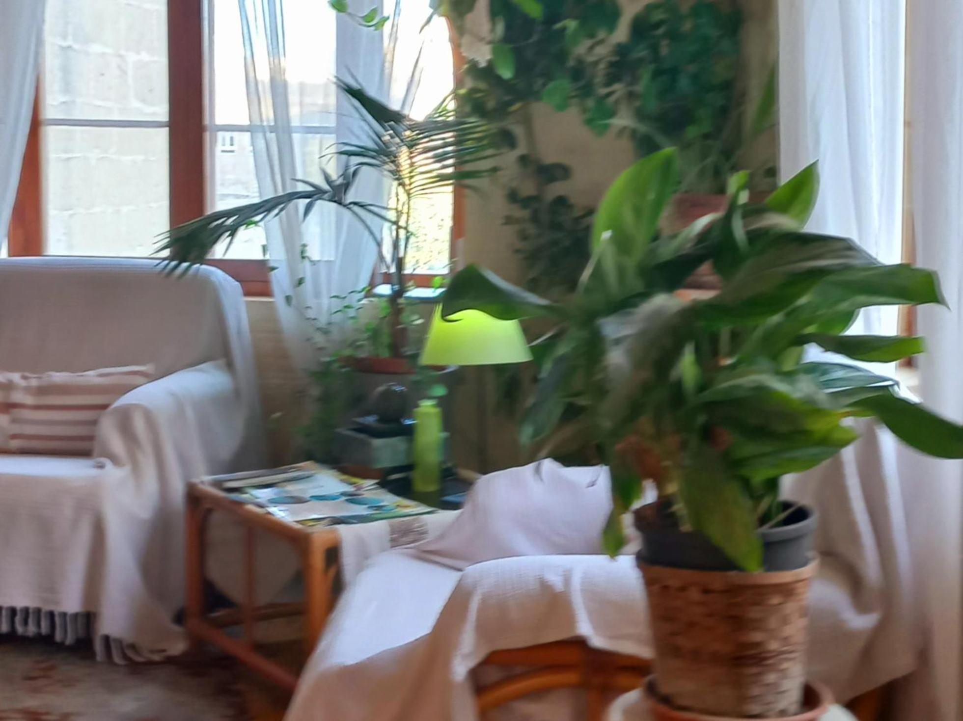 Ta' Didi B&B Kerċem 外观 照片