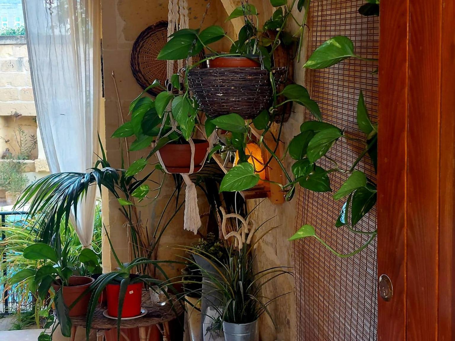 Ta' Didi B&B Kerċem 外观 照片
